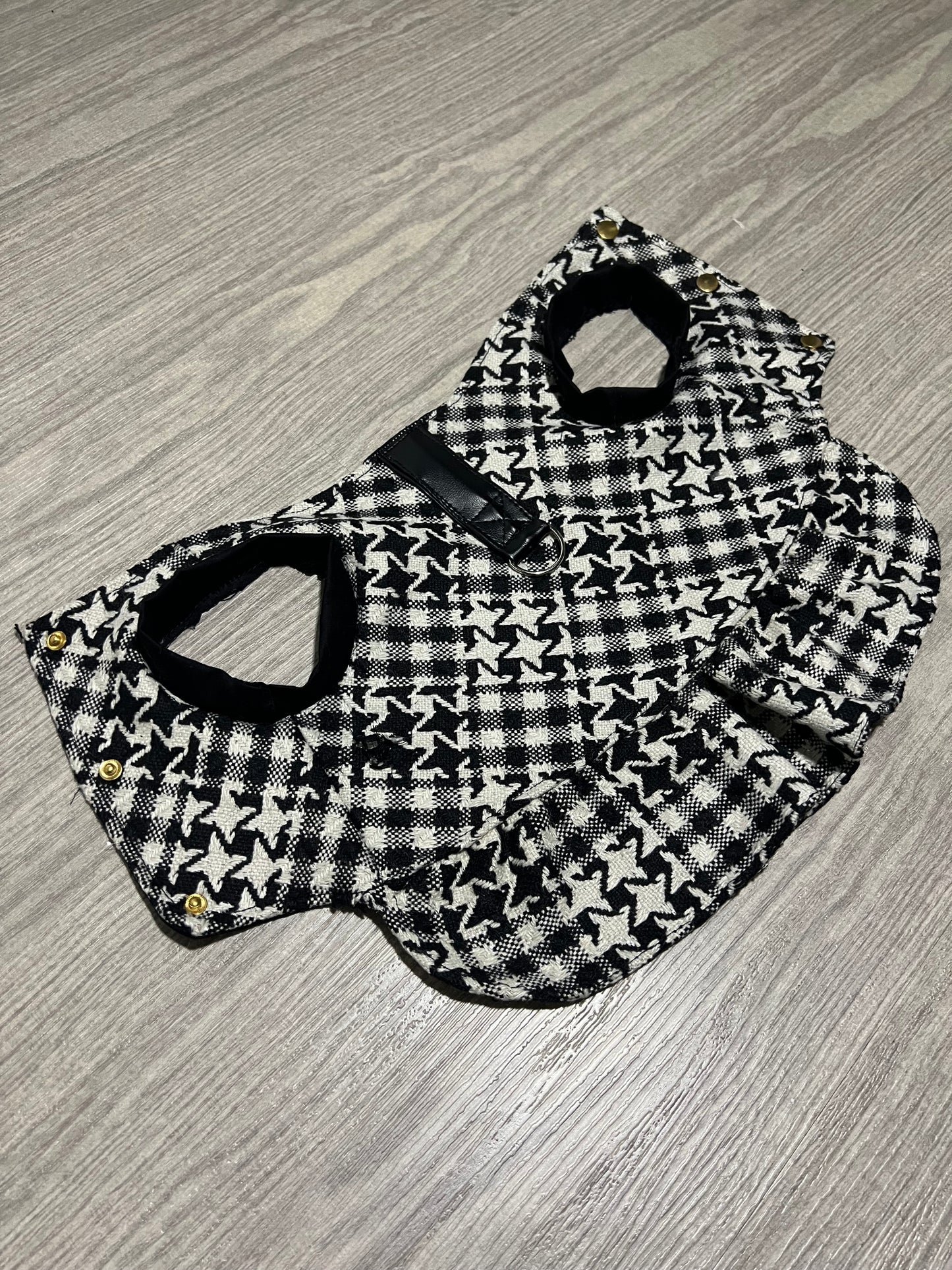 Stella's Starry Jacket